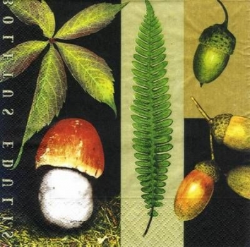 s6195 - Boletus edulis - Napkins - Package - 20 pcs.