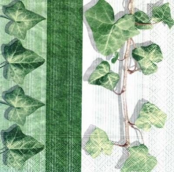 s6362 - Ivy - Napkins - Package - 20 pcs.
