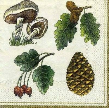 s6386 - Forest Fruits - cream - Servietten - Packung - 20 Stück