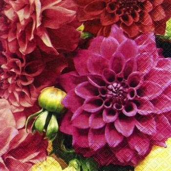 s6511 - Pink Dahlia - Servietten - Packung - 20 Stück.