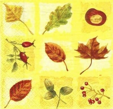 s6601 - Autumn Pictures - Servietten - Packung - 20 Stück