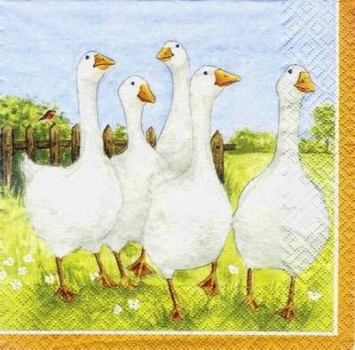 s6612 – Gänsemarsch - Servietten - 33 x 33 cm - Packung - 20 Stück