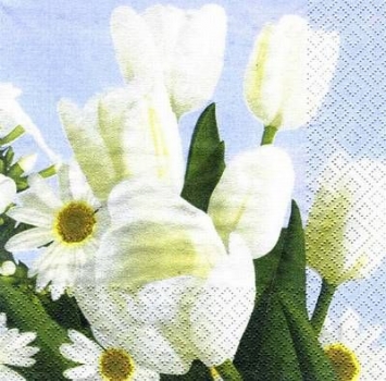 s6627 - White Spring - Servietten - Packung - 20 Stück