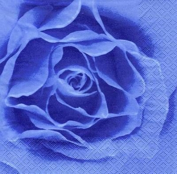s6696 - Scent of a Rose - blue - Servietten - Packung - 20 Stück