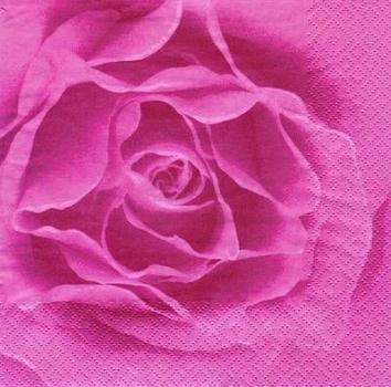 s6698 - Scent of a Rose - pink - Servietten - Packung - 20 Stück