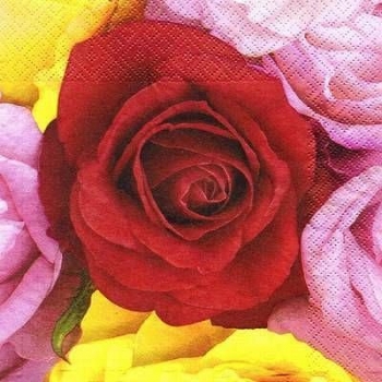 s6705 - Rose Collage - Servietten - Packung - 20 Stück