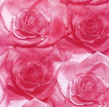s6708 - Rose Poetry - red - Servietten - Packung - 20 Stück