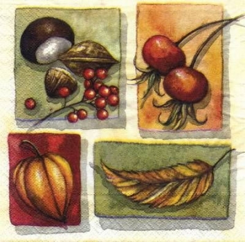 s6724 - Herbstfrüchte - Servietten - Packung - 40 Stück