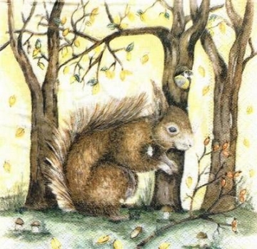 s6729 – Eichhörnchen - Servietten - 33 x 33 cm - Packung - 40 Stück