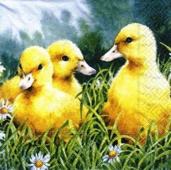 s6791 - Sweet Ducklings - Servietten von PAPER+DESIGN - 33 x 33 cm - Packung - 20 Stück