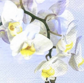 s6794 -  White Orchid - Servietten - Packung - 20 Stück