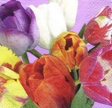 s6850 - Tulpenpracht - Servietten - Packung - 20 Stück.