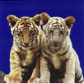 s6866 - Tigres - blau - Servietten - 33 x 33 cm - Packung 20 Stück