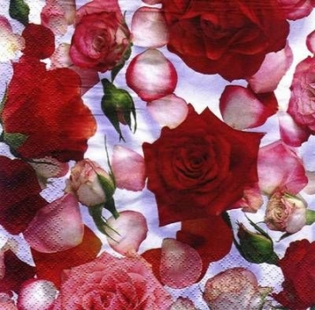 s6868 – Rote Rosen – Servietten – 33 x 33 cm - Packung – 20 Stück