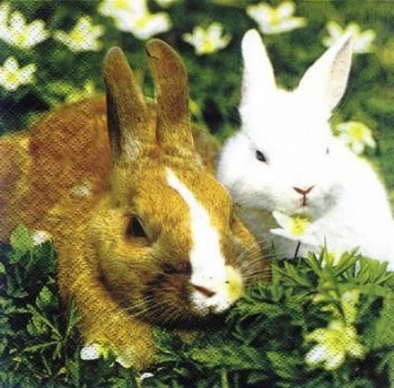 s6876 - Bunny - green - Servietten - 33 x 33 cm - Packung - 20 Stück