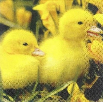 s6877 - Ducks - Servietten - 33 x 33 cm - Packung - 20 Stück