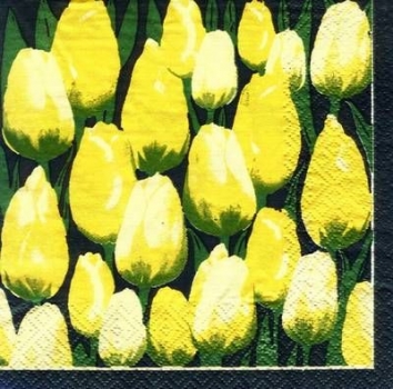 s7040 - Tulpenwiese - gelb - Servietten - Packung - 20 Stück