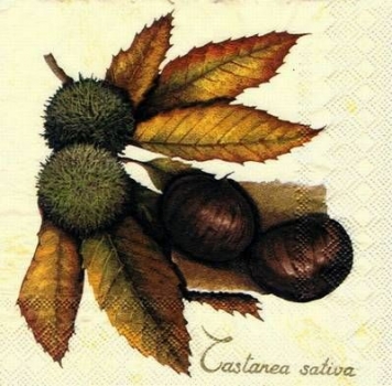 s7044 - Castanea - creme - Servietten - Packung - 20 Stück