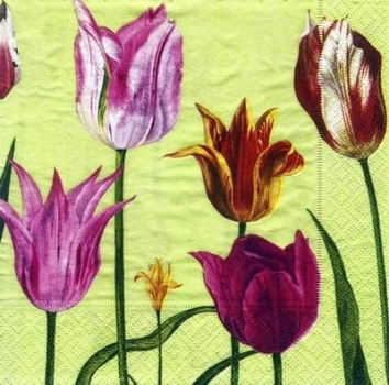 s7134 - Tulipa - green - Servietten - Packung - 20 Stück.
