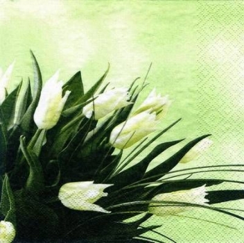 s7189 - Classic Tulips - green - Servietten - Packung - 20 Stück.