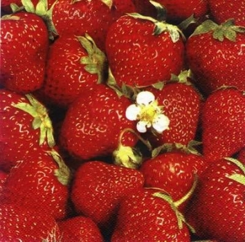 s7198 - Strawberry - Servietten - Packung - 20 Stück