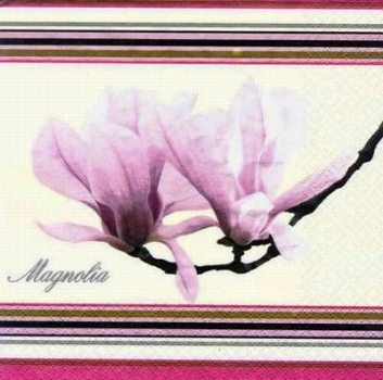 s7233 - Magnolia - champagne - Napkins - Package - 20 pcs..
