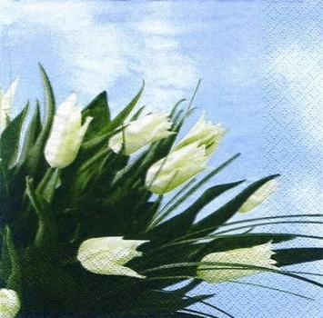 s7239 - Classic Tulips - blue - Napkins - Package - 20 pcs..