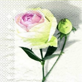 s7242 - Englische Rose - Napkins - Package - 20 pcs.