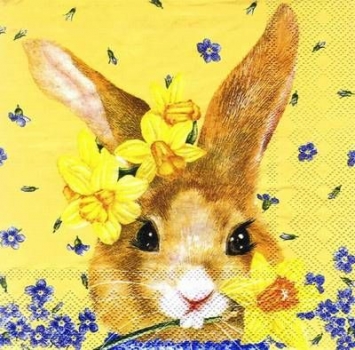 s7289 - Funny Rabbit - yellow - Servietten - Packung - 20 Stück