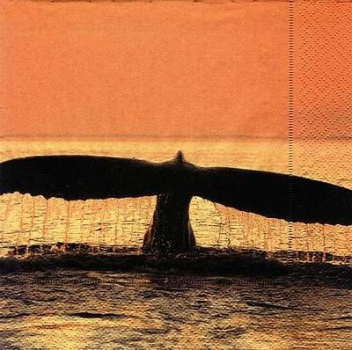 s7395 – Whale - Wal – Servietten – 33 x 33 cm - Packung – 20 Stück