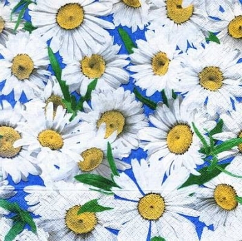 s7431 - Margeriten - 33 x 33 cm - Servietten - Packung - 20 Stück