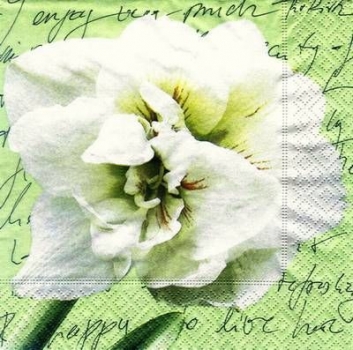 s7454 - Flowery Style - Napkins - Package - 20 pcs.