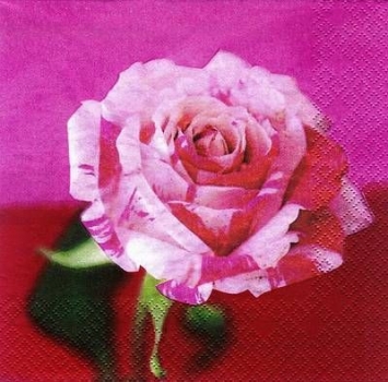 s7518 - Rosalena - rosa - Servietten - Packung - 20 Stück