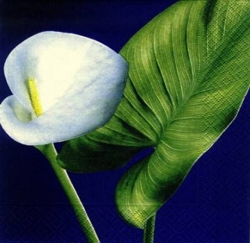 s7529 - Callas Lily - Napkins - Package - 20 pcs..