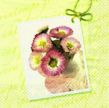 s7551 – Tausendschön - Napkins - Package - 20 pcs.