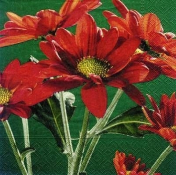s7674 - Branch of red Blooms - Servietten - Packung - 20 Stück