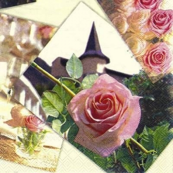 s7723 - Rosier - cream - Servietten - Packung - 20 Stück