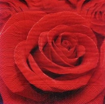 s7735 - Red Rose - Servietten - Packung - 20 Stück