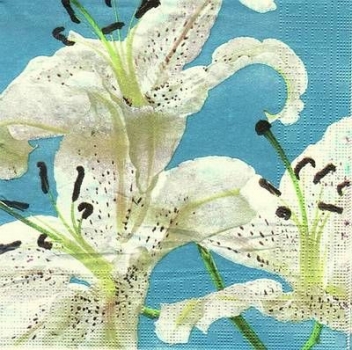 s7742 - Bright Lillies - turquoise - Servietten - Packung - 20 Stück