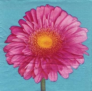 s7743 - Bright Gerbera - turquoise - Napkins - Package - 20 pcs..