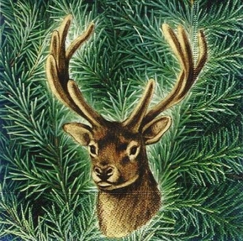 s7748 - Stag - Servietten - Packung - 20 Stück