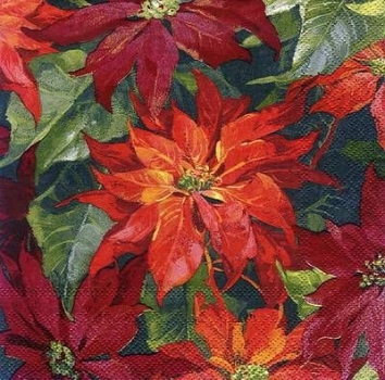 s7848 - Red Ruby - Napkins - Package - 20 pcs.