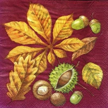 s7880 - Marona - Napkins - Package - 50 pcs.