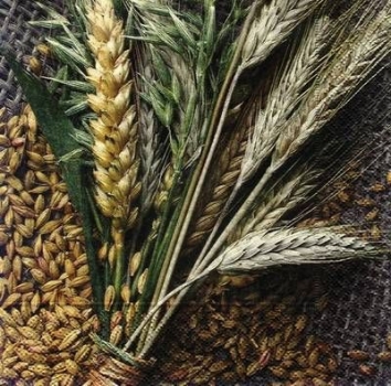 s7887 - Corn - Napkins - Package - 20 pcs.