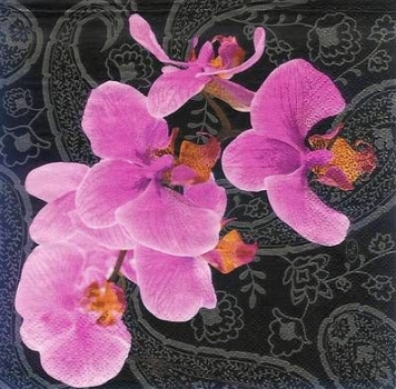 s8072 - Lovely Orchid - black - Napkins - Package - 20 pcs..