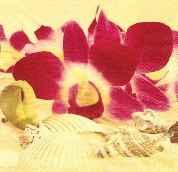 s8076 - Tropical Summer - Napkins - Package - 20 pcs..