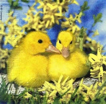 s8160 - Ducklings - Servietten - Packung - 20 Stück