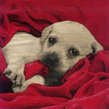 s8196 - Puppy - Servietten - Packung - 20 Stück