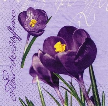 s8200 – Krokus – Fleurs des Saffrane – Servietten – 33 x 33 cm - Packung – 20 Stück