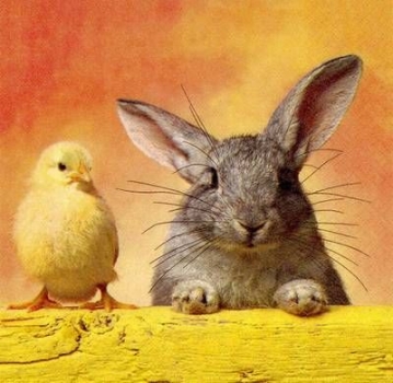 s8238 - Chick and Rabbit - Servietten - Packung - 20 Stück